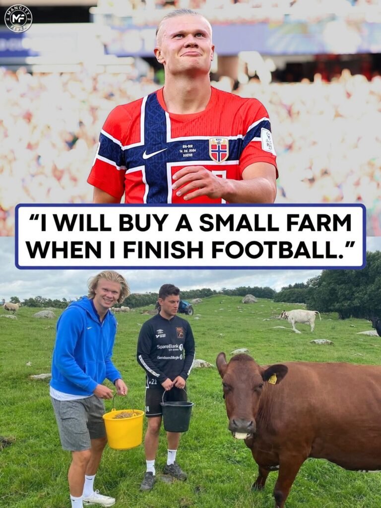 Farm animals for sale usa
