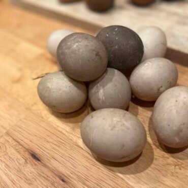 cayuga duck eggs