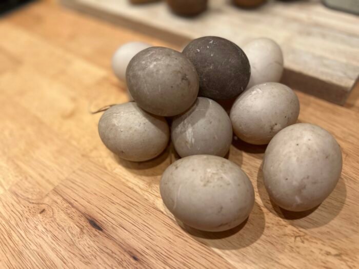 cayuga duck eggs