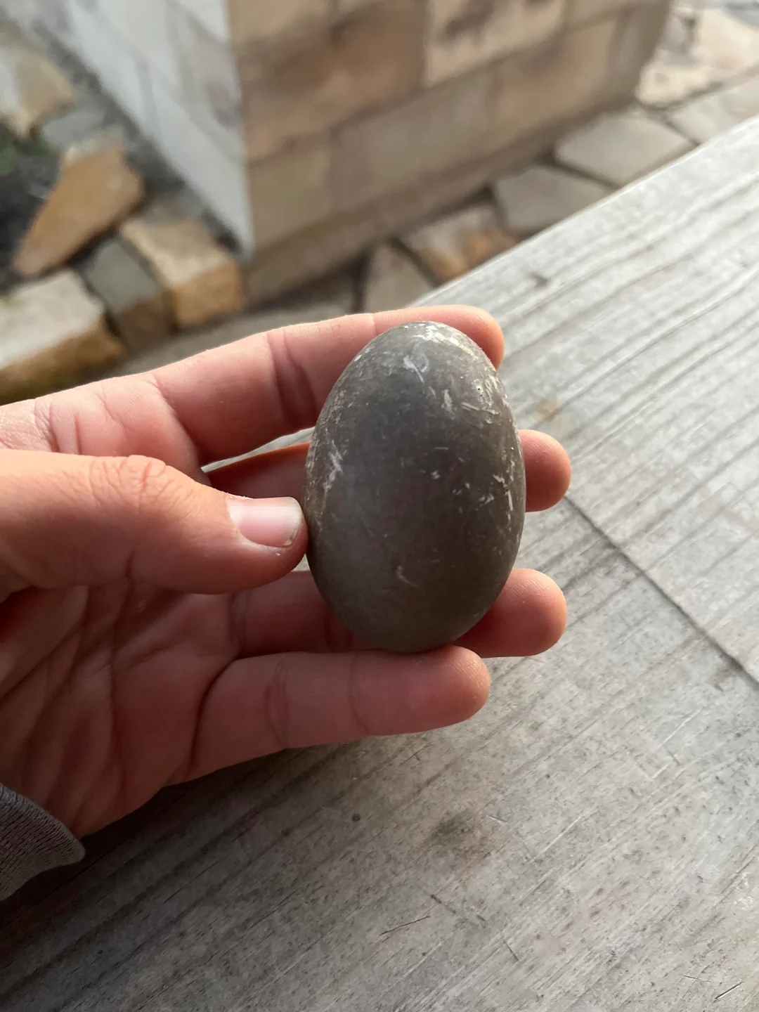 cayuga duck eggs - Image 2