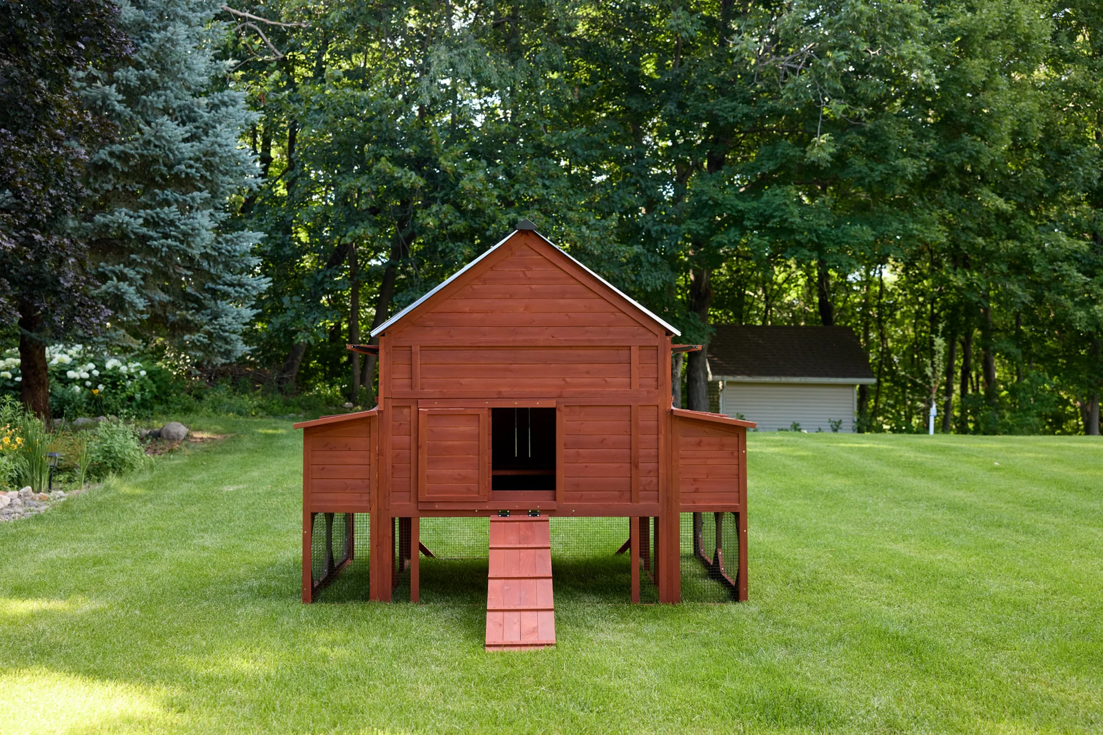 chicken coop for 15 chickens