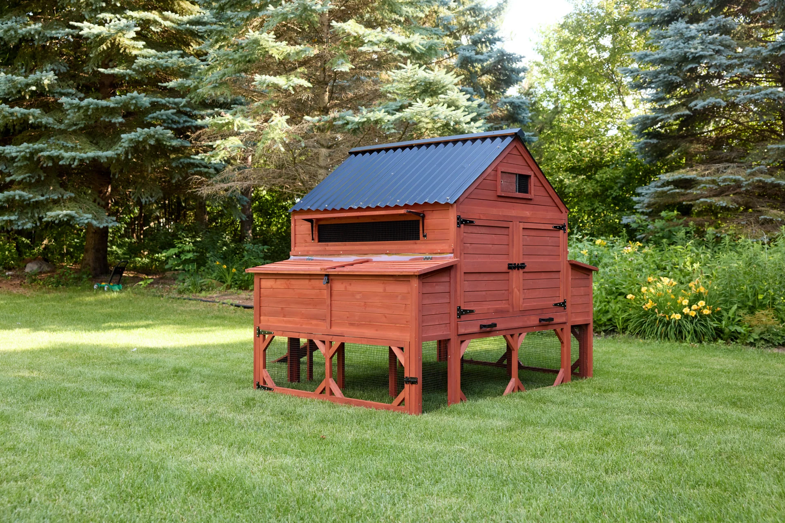 chicken coop for 15 chickens - Image 3