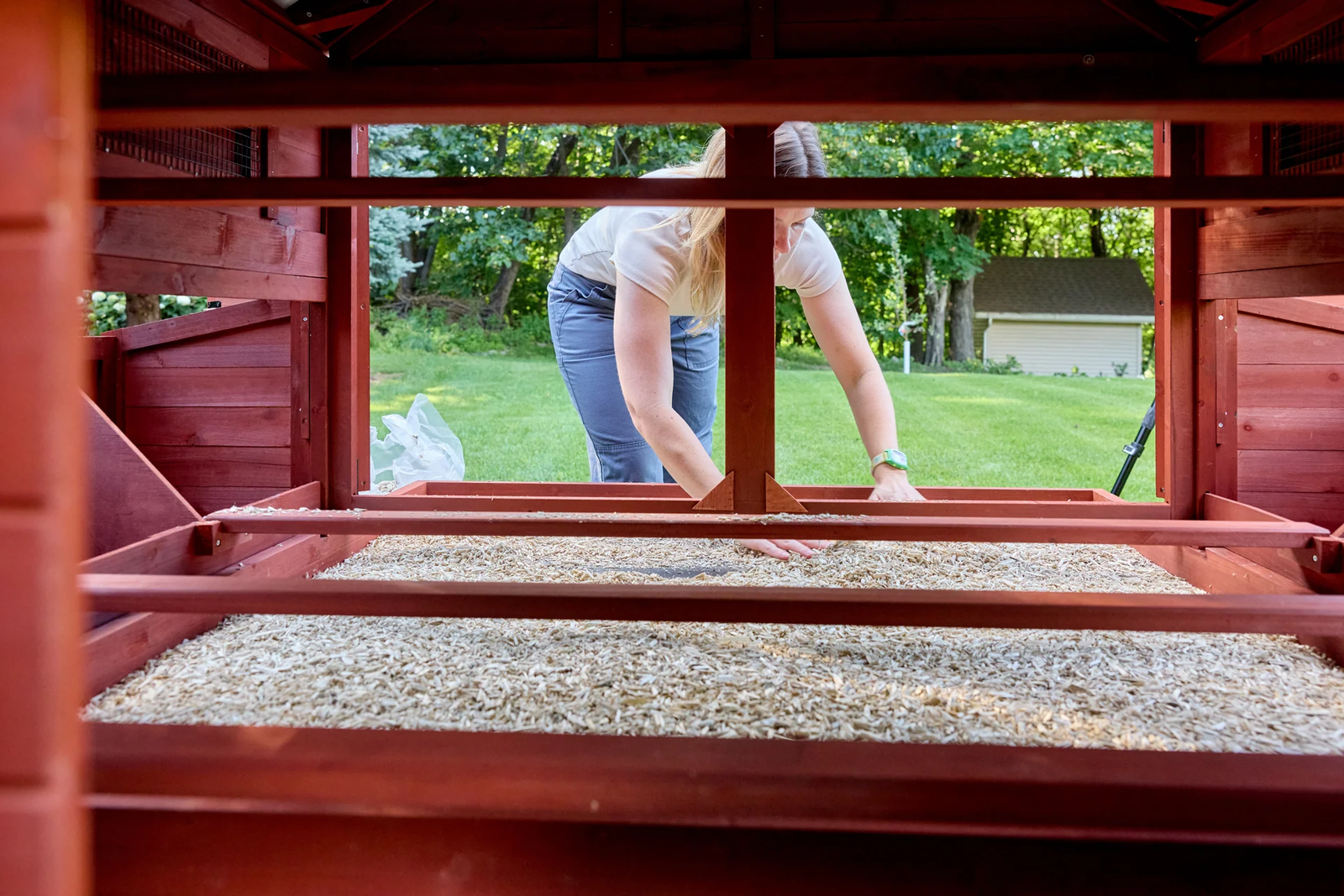 chicken coop for 15 chickens - Image 4