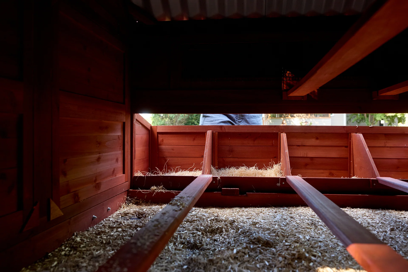 chicken coop for 15 chickens - Image 5