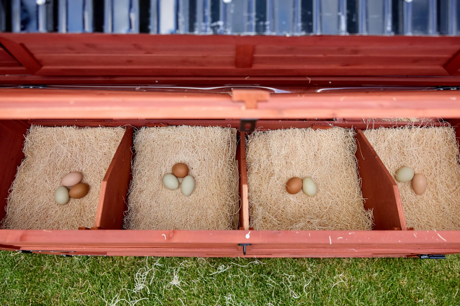 chicken coop for 15 chickens - Image 8