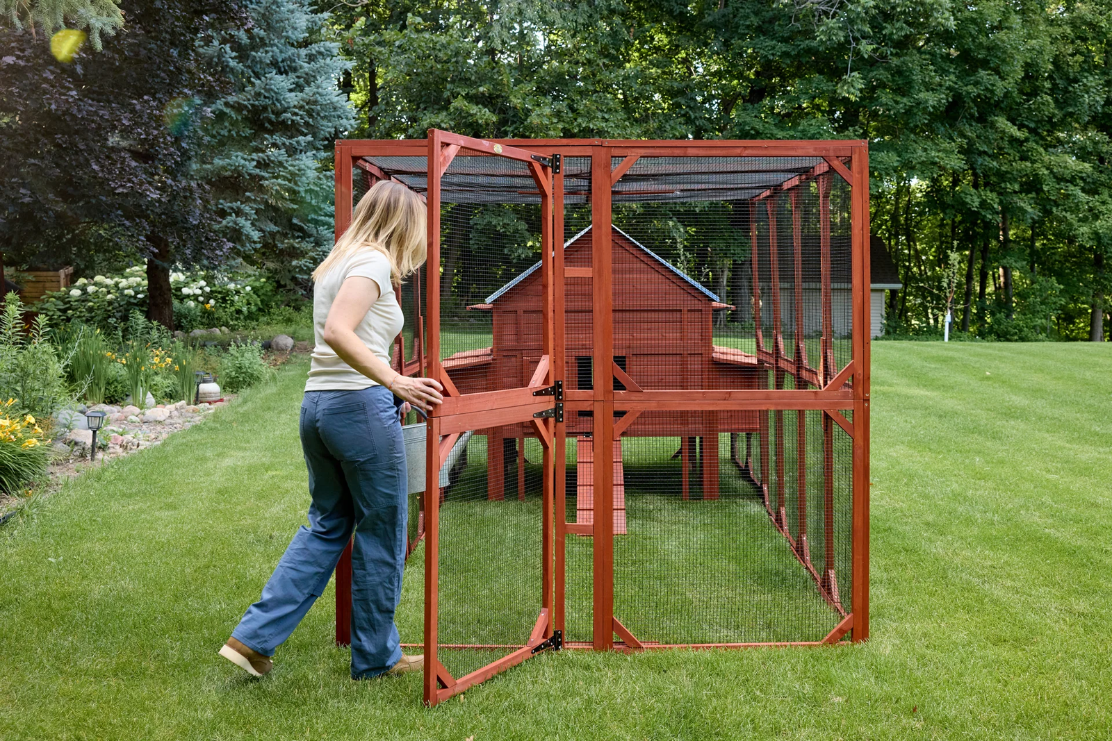 chicken coop for 15 chickens - Image 9