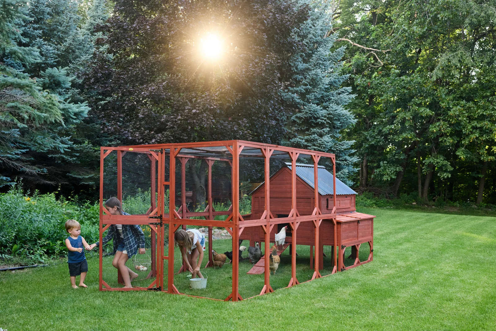 chicken coop for 15 chickens - Image 11